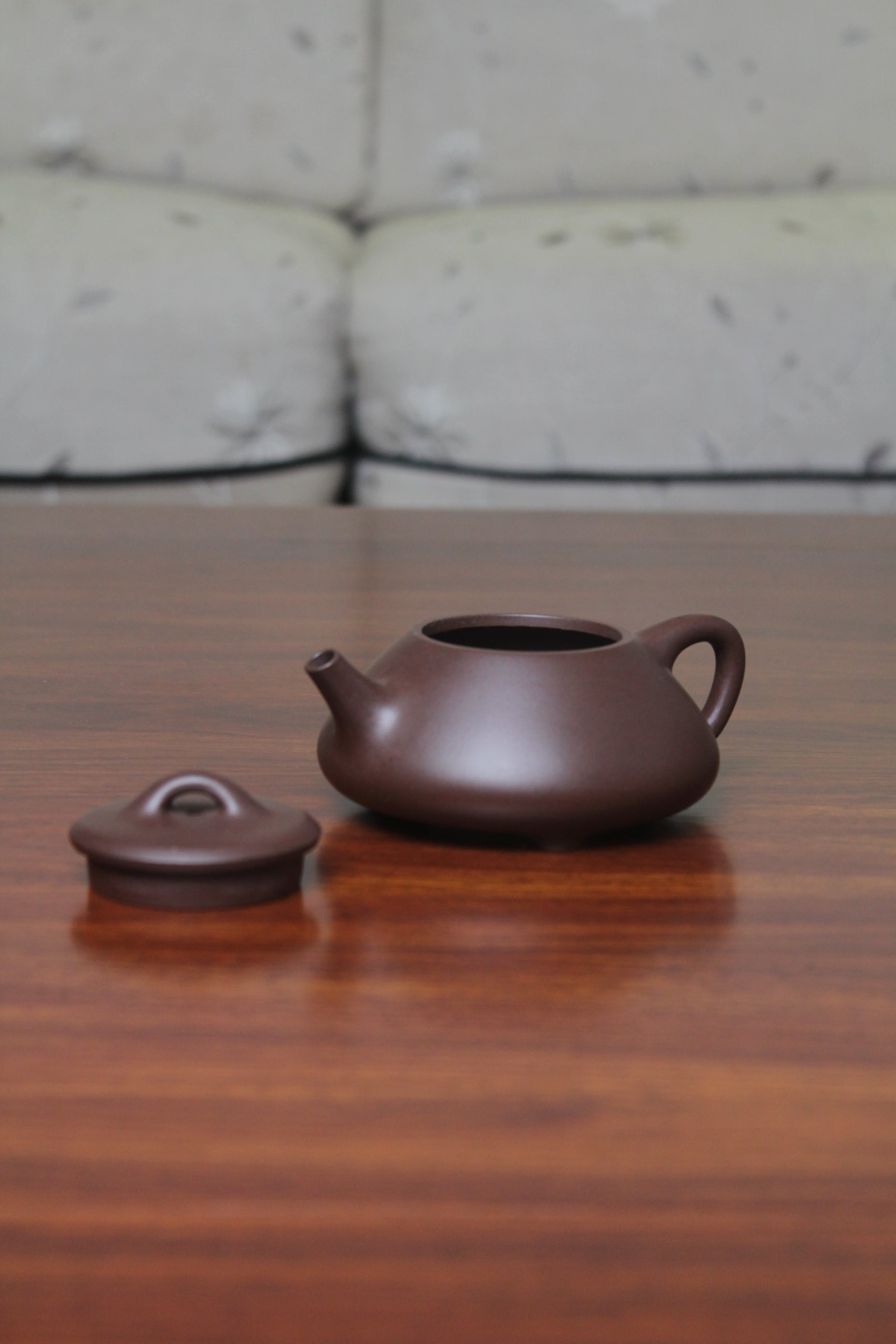 Shi Piao — view 5